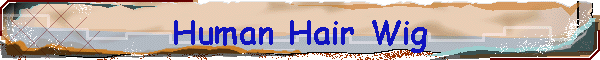 Human Hair Wig