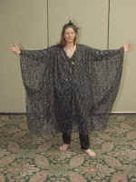 P6100405.jpg (100772 bytes)